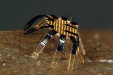 El robot andante más pequeño, de 0.5 mm, tiene forma de cangrejo