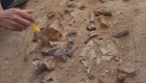 Excavan en China fósil dinosaurio de 125 millones de años