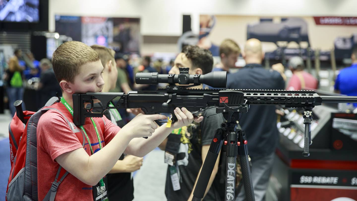 EEUU: Senadores anuncian un acuerdo para controles de armas imagen