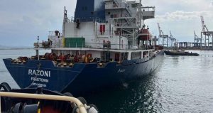 UCRANIA: Zarpan otros dos barcos con cargamento cereales