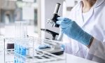 Abren la puerta a la creación de órganos de reemplazo humanos