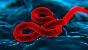 La OMS confirma un nuevo brote de ébola en el este R. del Congo