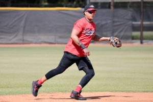 Iván Nova y Starlin Castro dicen llevarán Leones ganar beisbol RD