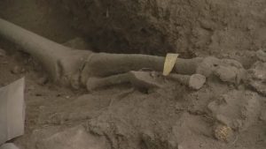 Hallan en República Dominicana cementerio de hace 3,000 años