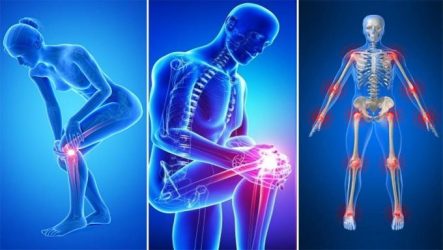 ¿Cómo mantener saludables las articulaciones al paso del tiempo? ¿Cómo mantener saludables las articulaciones al paso del tiempo?