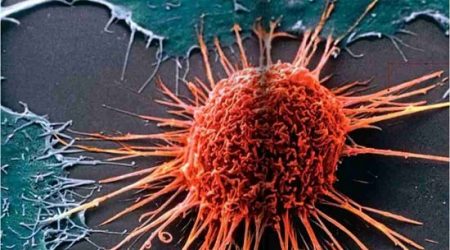 Vacuna experimental contra el cáncer se muestra prometedora Vacuna experimental contra el cáncer se muestra prometedora