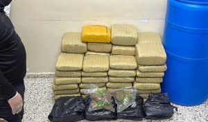 SANTIAGO: Autoridades ocupan  más de 380 libras de marihuana