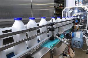 Región del Cibao concentra 40% de las 180 industrias lácteas RD