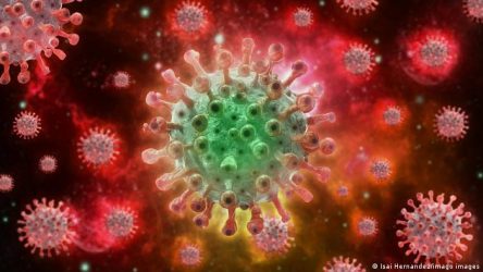 Buscan mejorar las medicinas para tratar y evitar la viruela del mono Buscan mejorar las medicinas para tratar y evitar la viruela del mono