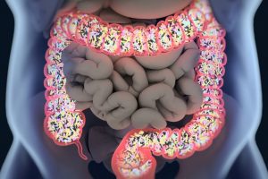 Beneficia al microbioma intestinal comer maní, hierbas y especias