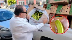 Puerto Rico quemará plátanos entraron sin pelar desde R. Dom.