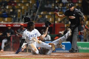 Licey gana serie regular beisbol de la RD; Estrellas y Leones triunfan