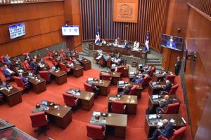 El Senado aprueba en primera lectura Código Penal sin el aborto