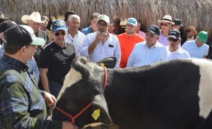 Administrador Bagrícola resalta avance ganadería de leche en Santiago Rodríguez
