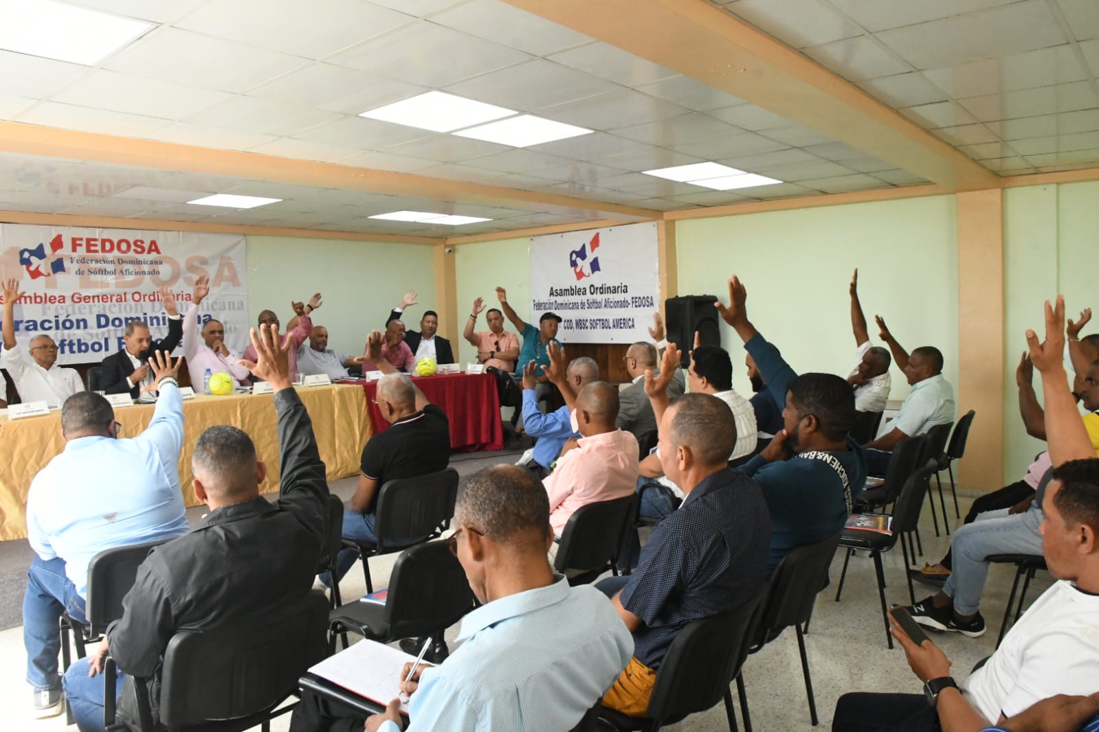 Fedosa resalta principales logros del softbol dominicano en 2022 imagen