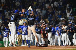 Tigres y Estrellas a la gran final de la Liga Dominicana de Béisbol