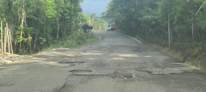 Carretera Gaspar Hernández-Tenares: algunos tramos parecen caminos vecinales