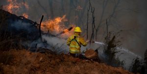 CHILE: Al menos 10 detenidos por incendios dejan ya 24 fallecidos