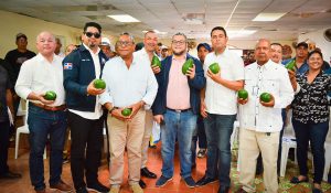 OCOA: FEDA anuncia trabajará en empacadora de aguacates