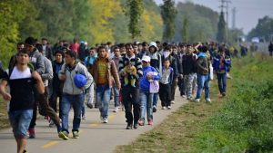 OMS insta países a salvaguardar salud de refugiados y migrantes