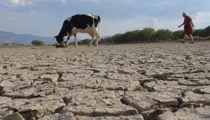 Sequía afecta la producción agua en la RD; Agricultura activa plan