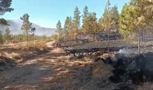 Incendio en Valle Nuevo ya está sofocado, dice Medio Ambiente