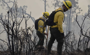 Queda controlado el incendio que afectaba el Parque Valle Nuevo