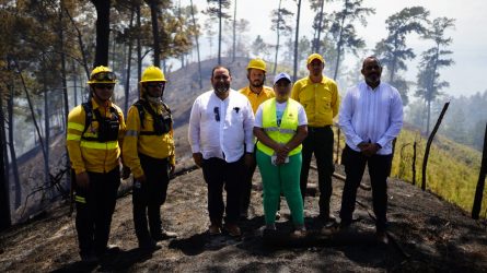 Genao califica de “terrorismo ambiental” incendios de bosques