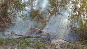 BONAO: Tribunal impone coerción a haitiano por incendios forestales