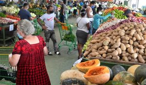 Precios mundiales de alimentos siguen muy altos, según la FAO
