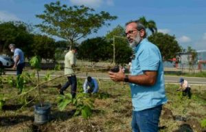 MADRID: Presentarán el primer bosque RD en Metaworld Congress