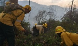 Medio Ambiente afirma tener bajo control incendios forestales