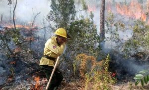 Se reducen a 8 fuegos forestales activos en República Dominicana