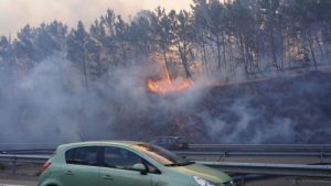 Autoridades identifican supuestos responsables incendios forestales