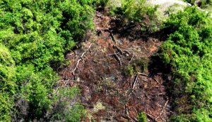 PC urge autoridades RD «pongan atención a destrucción cordillera»