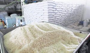 Gobierno dominicano mantiene prohibición de exportar arroz