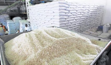 Arroz de RD: apertura comercial y seguridad alimentaria