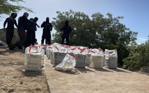 DNCD, Armada y FA interceptan lancha con 257 paquetes cocaína