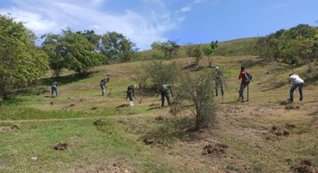 Plantan árboles en carretera que divide Rep. Dominicana de Haití