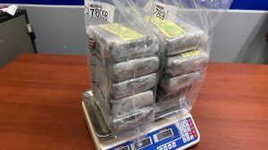 Cinco detenidos y 10 paquetes de cocaína incautados en Santiago