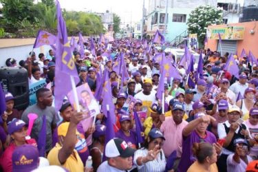 SDE: Numerosos miembros PLD marchan contra males sociales