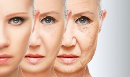 Descubren una proteína esencial en el envejecimiento de la piel