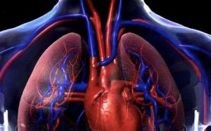¿Qué es la hipertensión pulmonar?