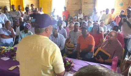 El PLD califica de «improvisado» Plan Nacional de Reforestación