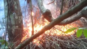 Bomberos siguen combatiendo el incendio afecta a Saltos de Jima