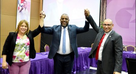 PLD escoge a Luis Henríquez su nuevo vocero Cámara Diputados