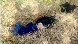 OCOA: Mataron cuatro supuestos narcotraficantes en una balacera