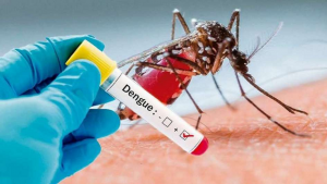 Autoridades Salud Pública esperan una temporada alta de dengue