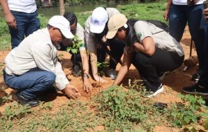 INABIE planta 2,050 árboles en jornada reforestación en Monte Plata
