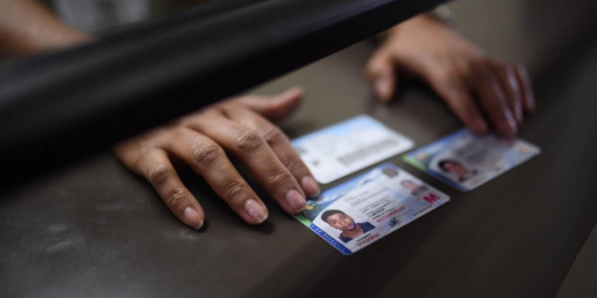 Senado aprueba homologar licencias conducir dominicanas
